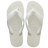 3536