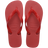 3536
