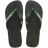 3536