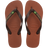 3536