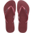 3536