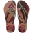 3536