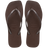 3536