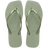 3536