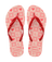 3334